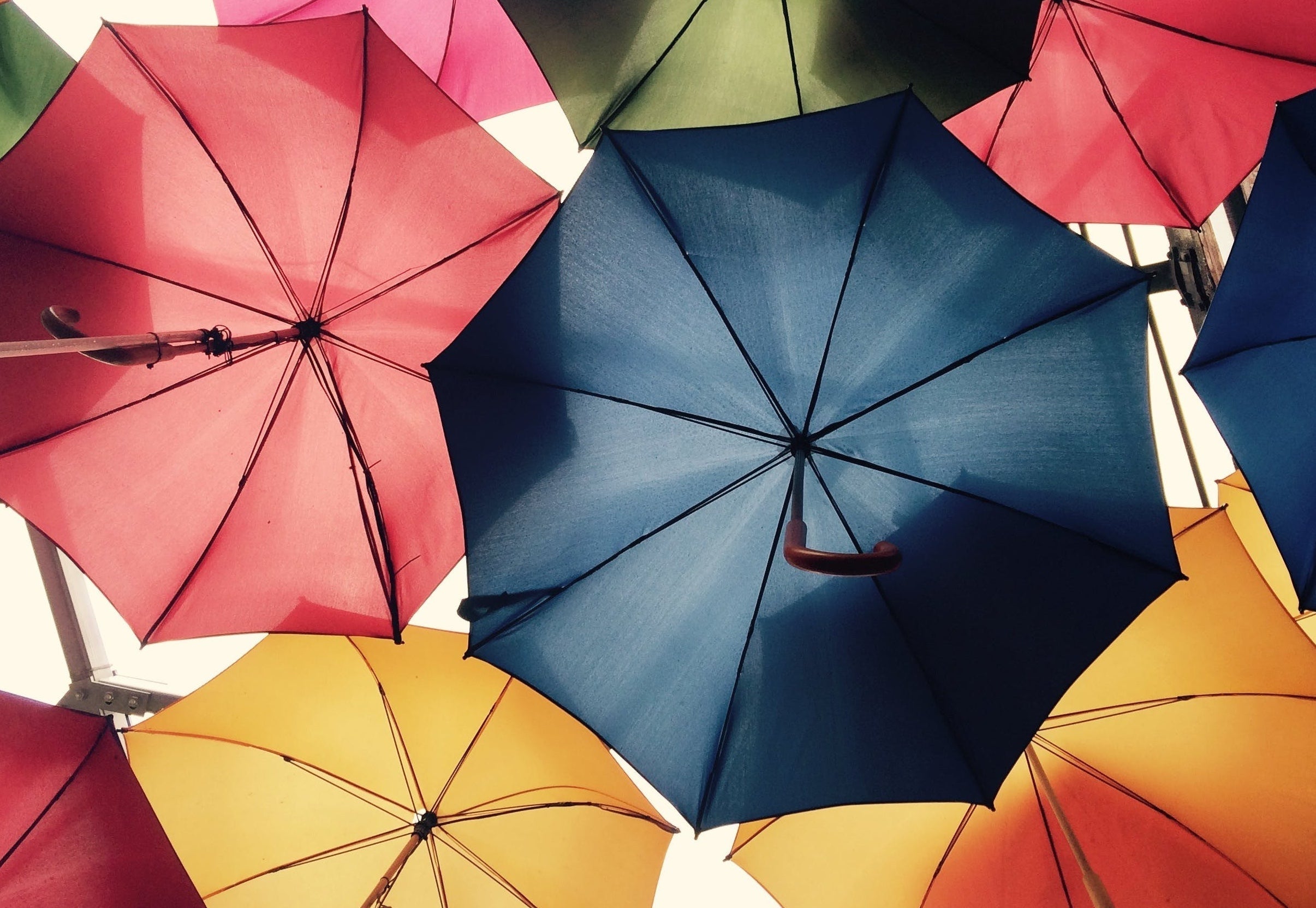 a collection of open umbrellas shot from underneath