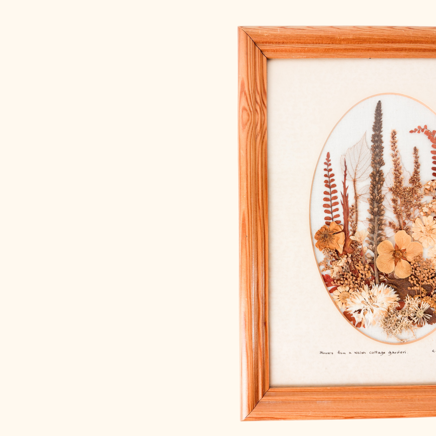 Vintage Welsh Pressed Flowers Wooden Frame Sunshine Thrift