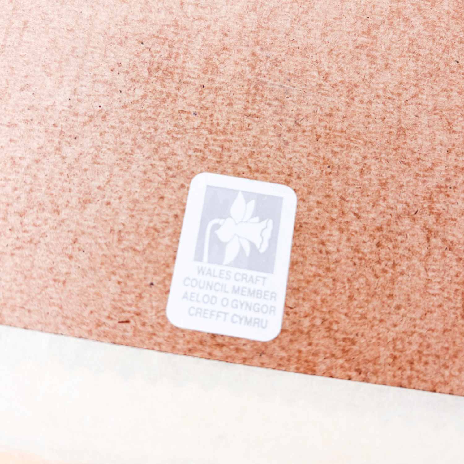 Vintage Welsh Pressed Flowers Wooden Frame Sunshine Thrift