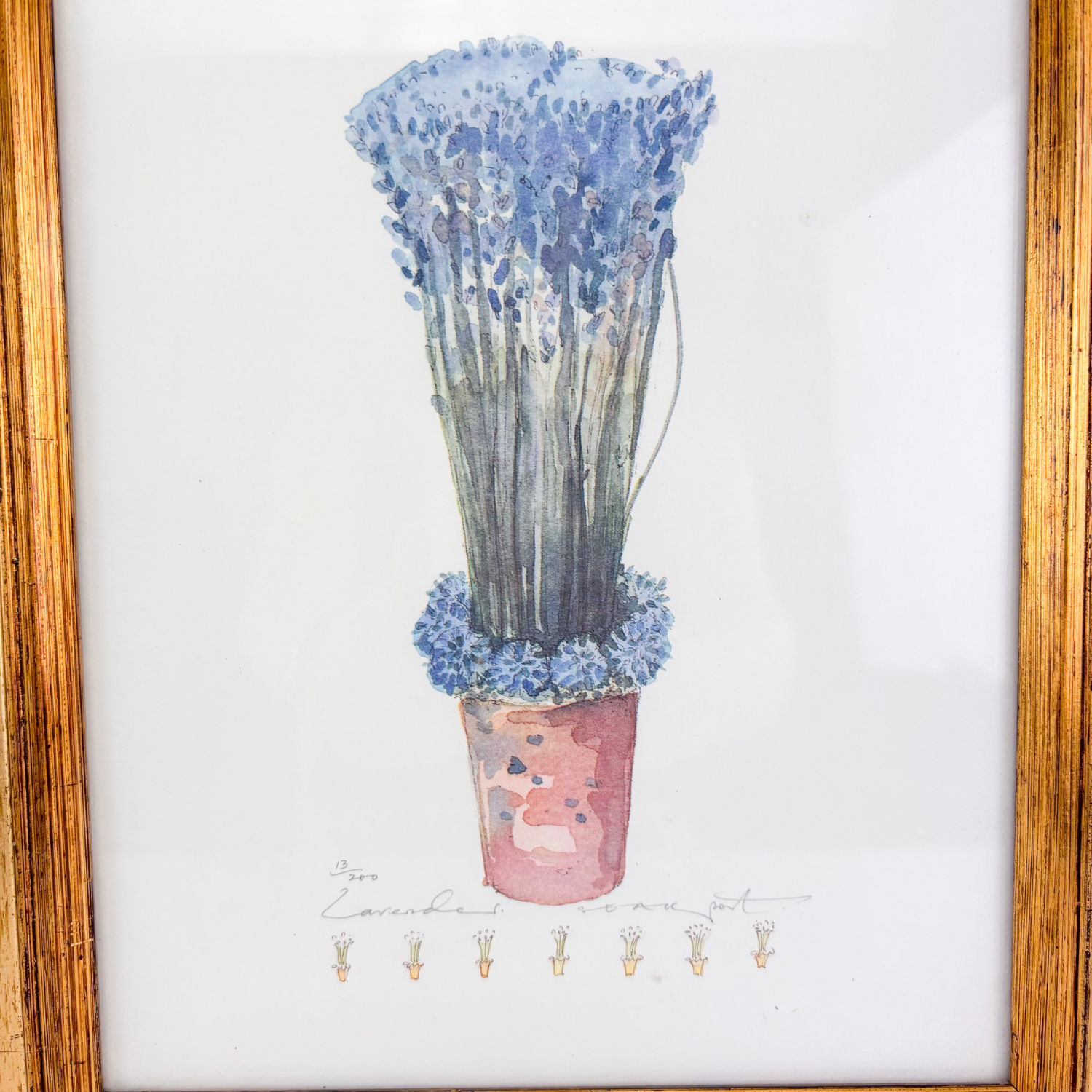 Potted Lavender Framed Watercolour Print Sunshine Thrift
