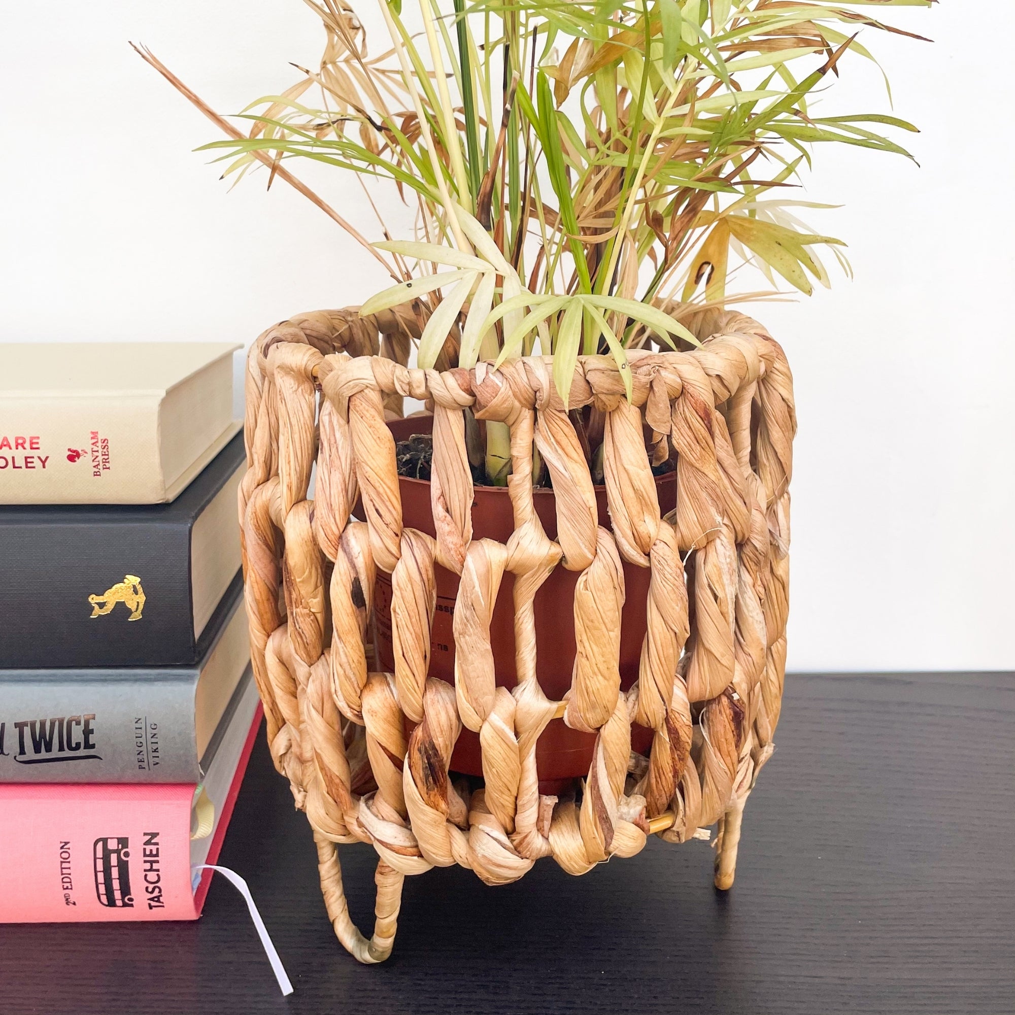 Wicker Standing Small Plant Pot -  - Plant pots