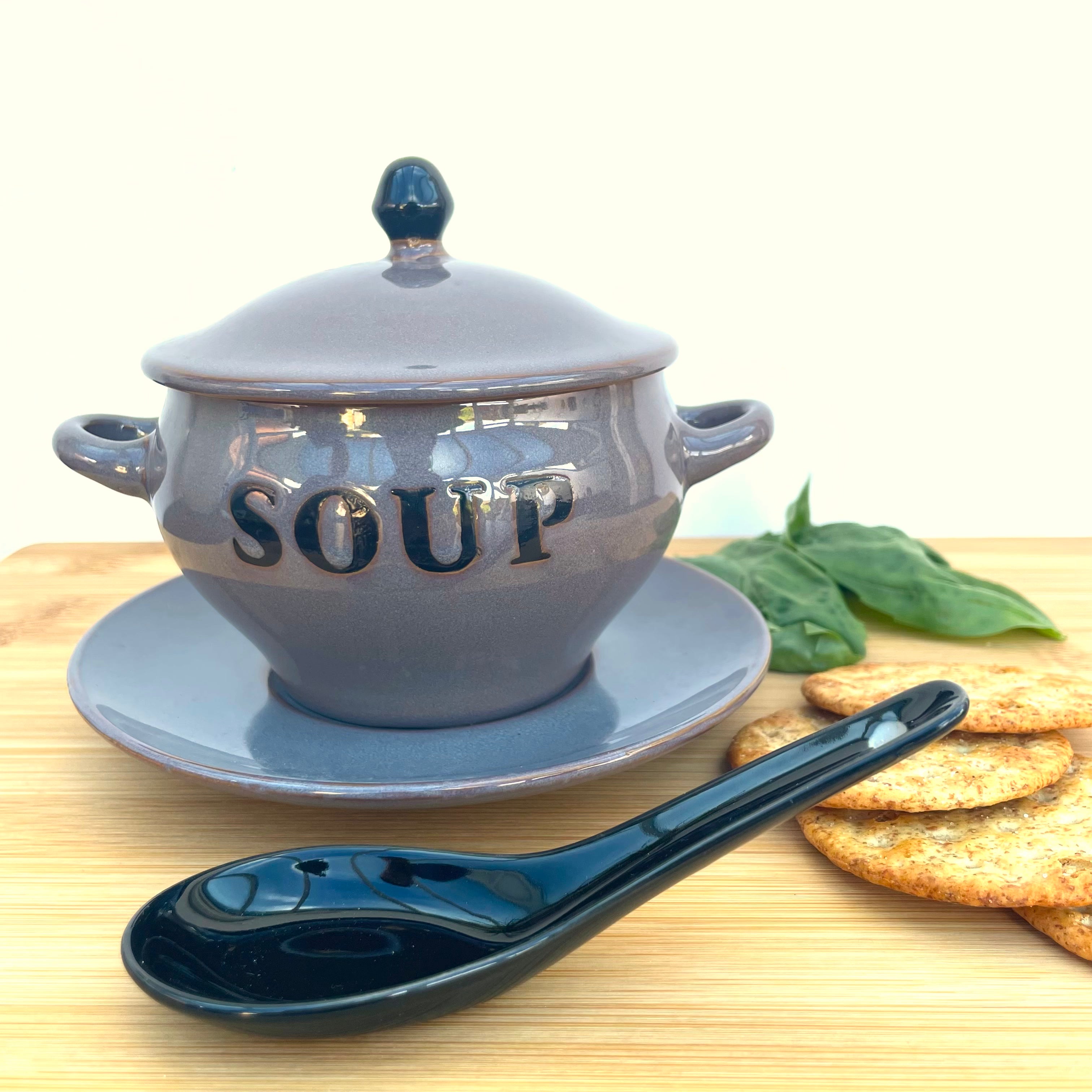 Grey Microwave Soup Bowl and Spoon with Lid - - Kitchenware