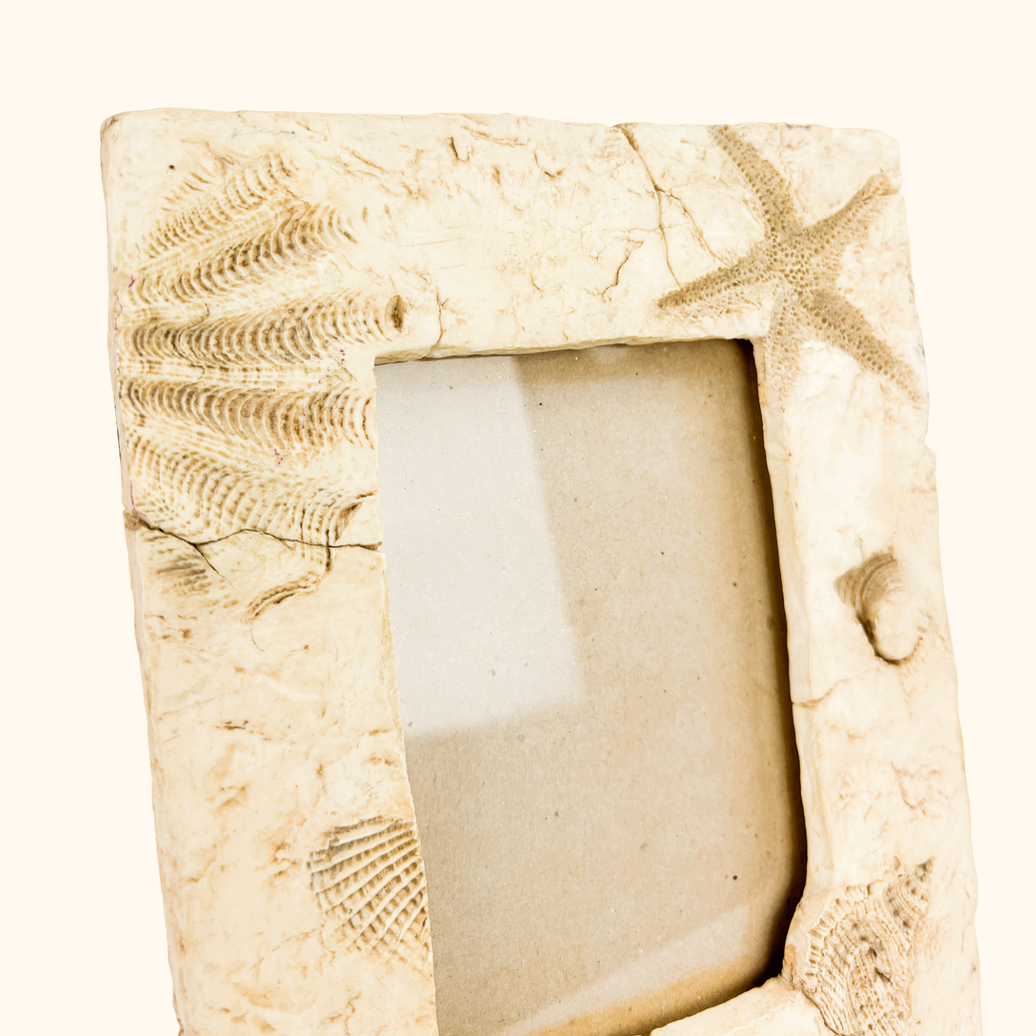 Seaside 3D Shell Picture Frame 6inch x 4inch Sunshine Thrift