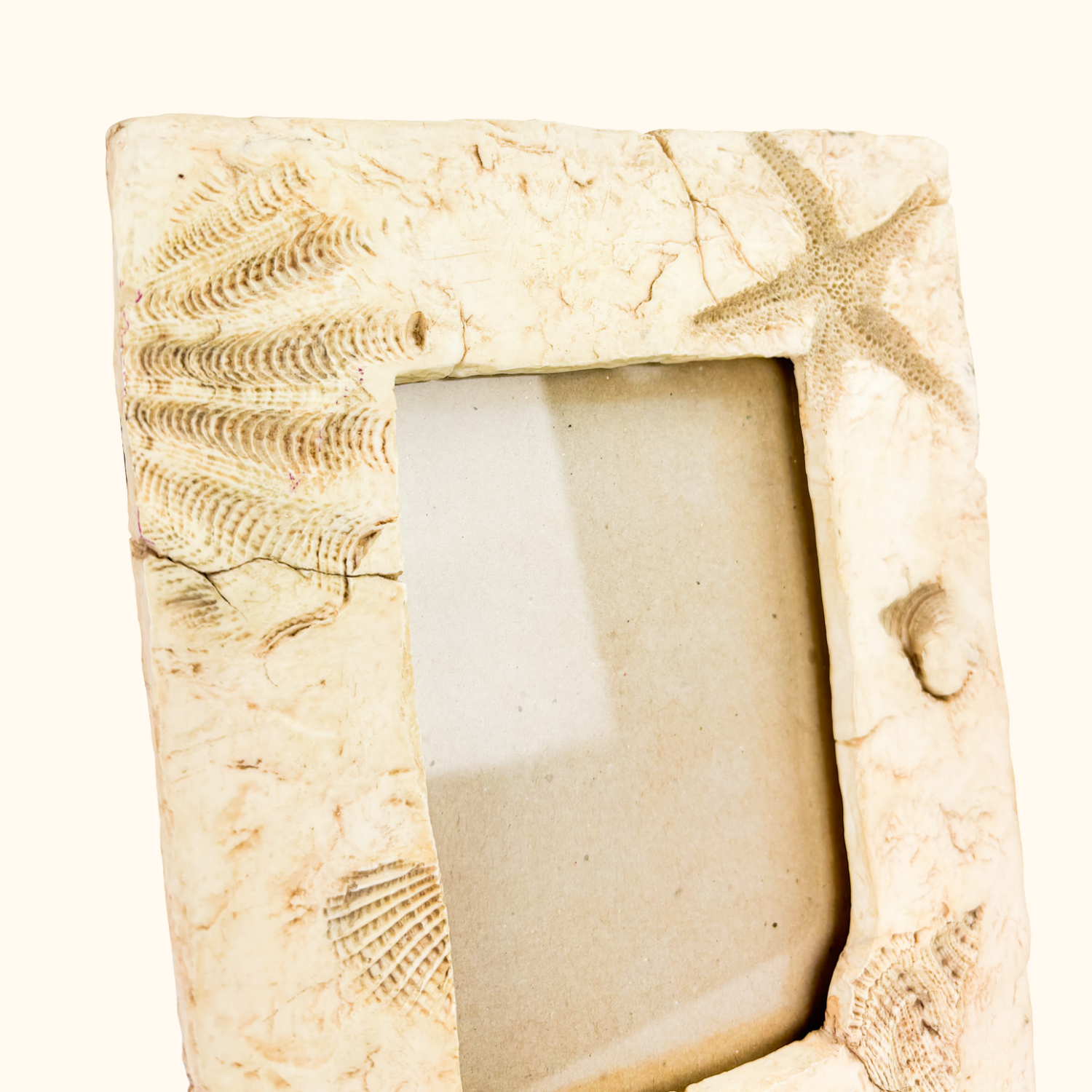 Seaside 3D Shell Picture Frame 6inch x 4inch Sunshine Thrift