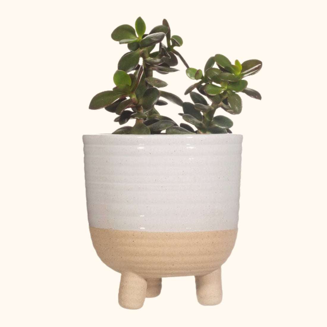 Sass and Belle Rustic White Half Glazed Large Plant Pot - - Plant pots