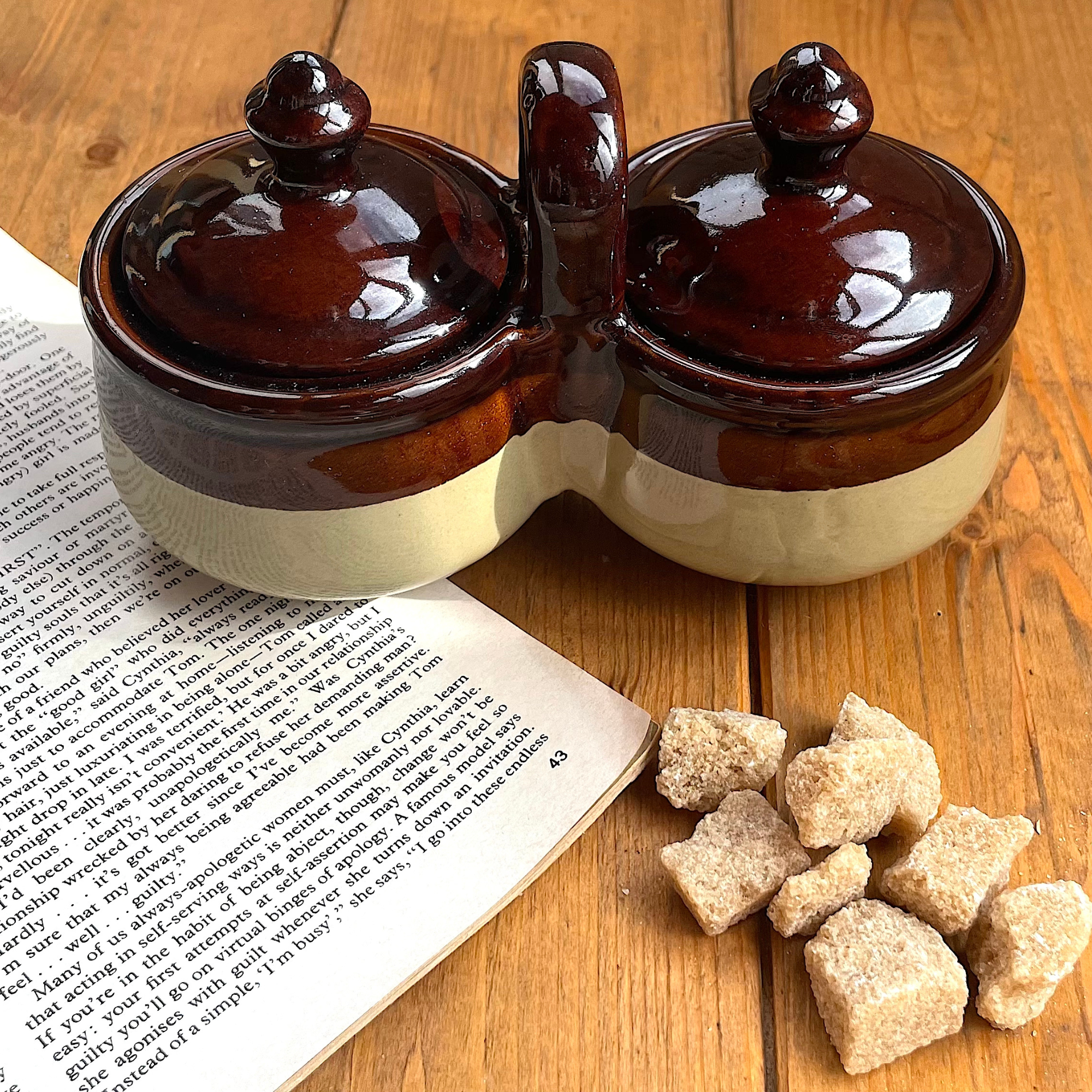 Vintage Stoneware Two-Tone Condiment Caddy with Lids -  - Kitchenware