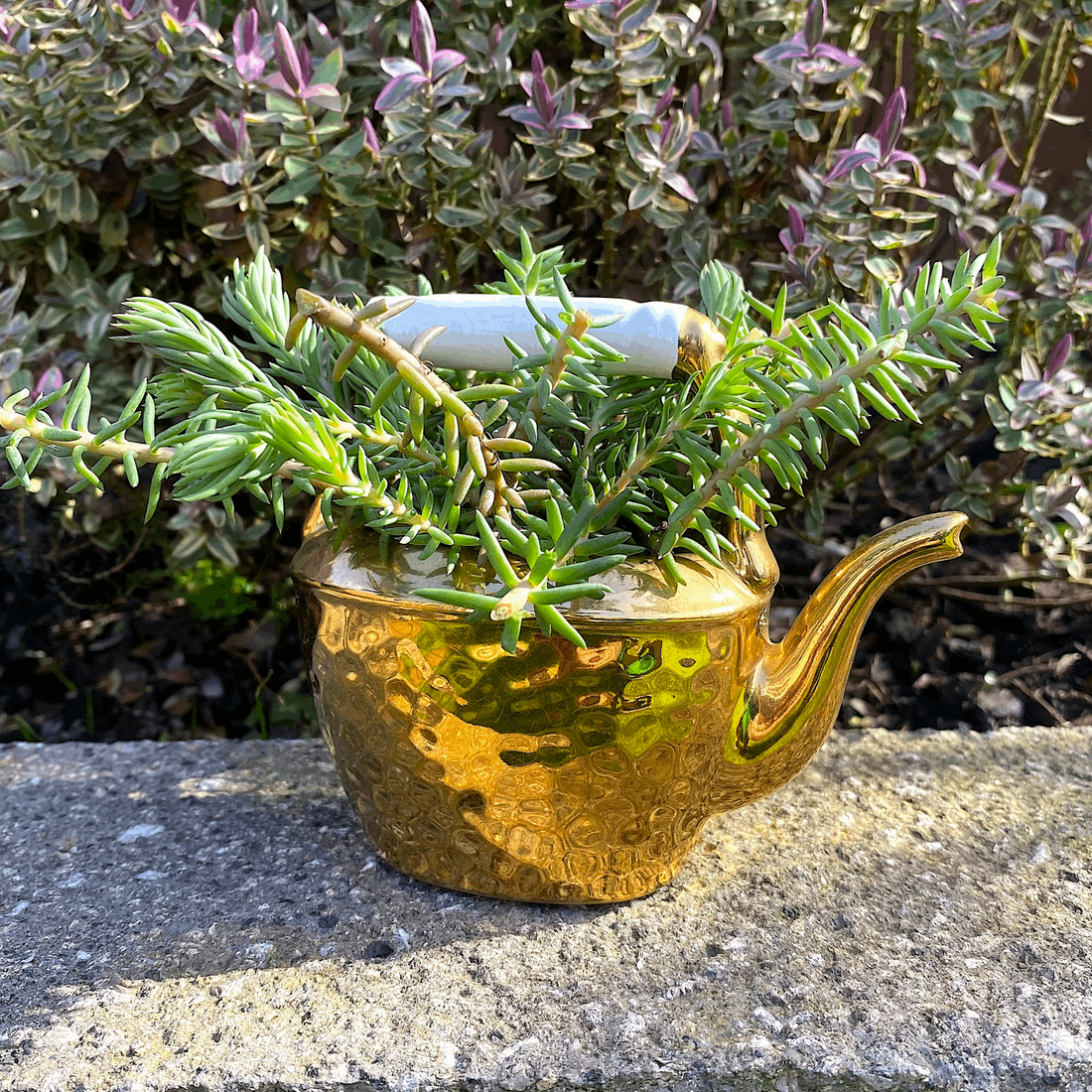 Brass Effect Ornamental Kettle -  - Ornaments
