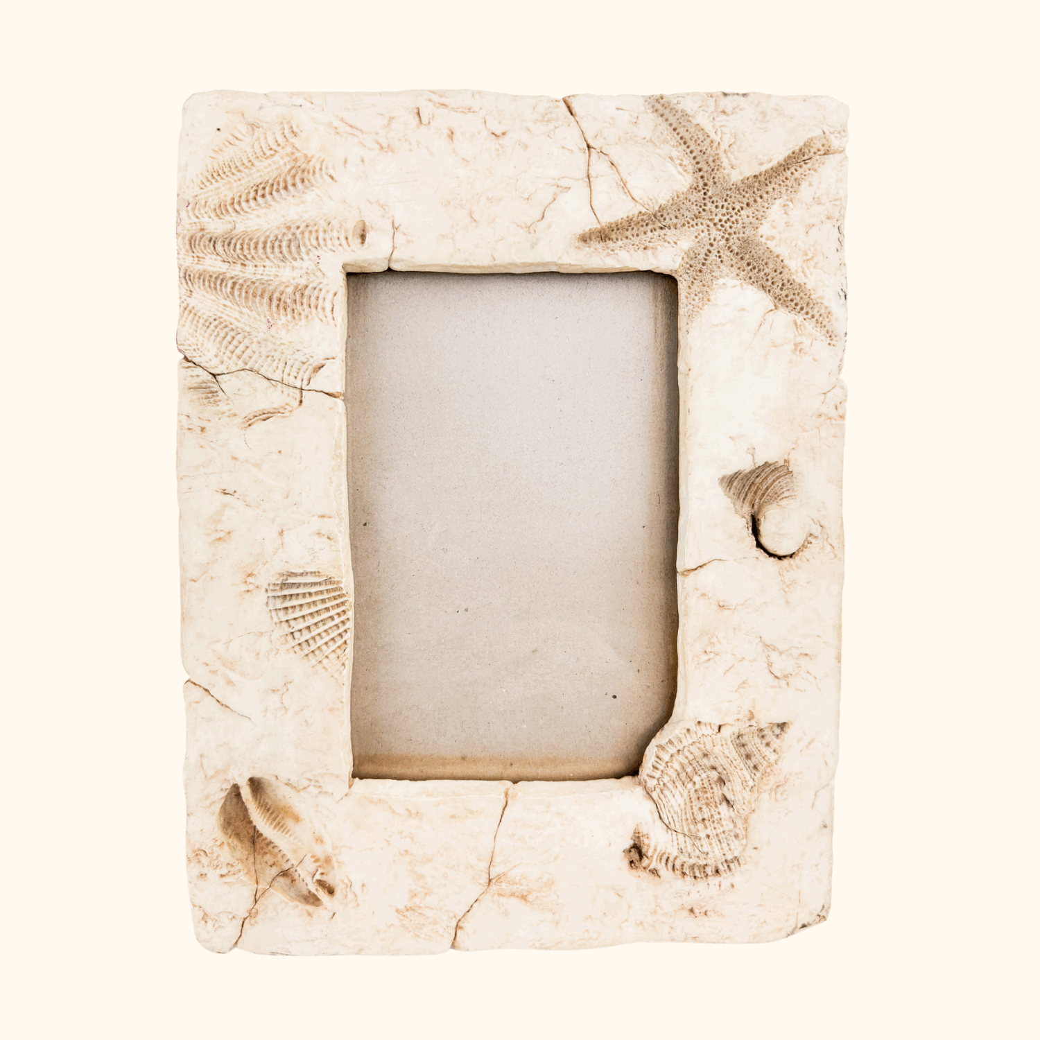 Seaside 3D Shell Picture Frame 6inch x 4inch Sunshine Thrift