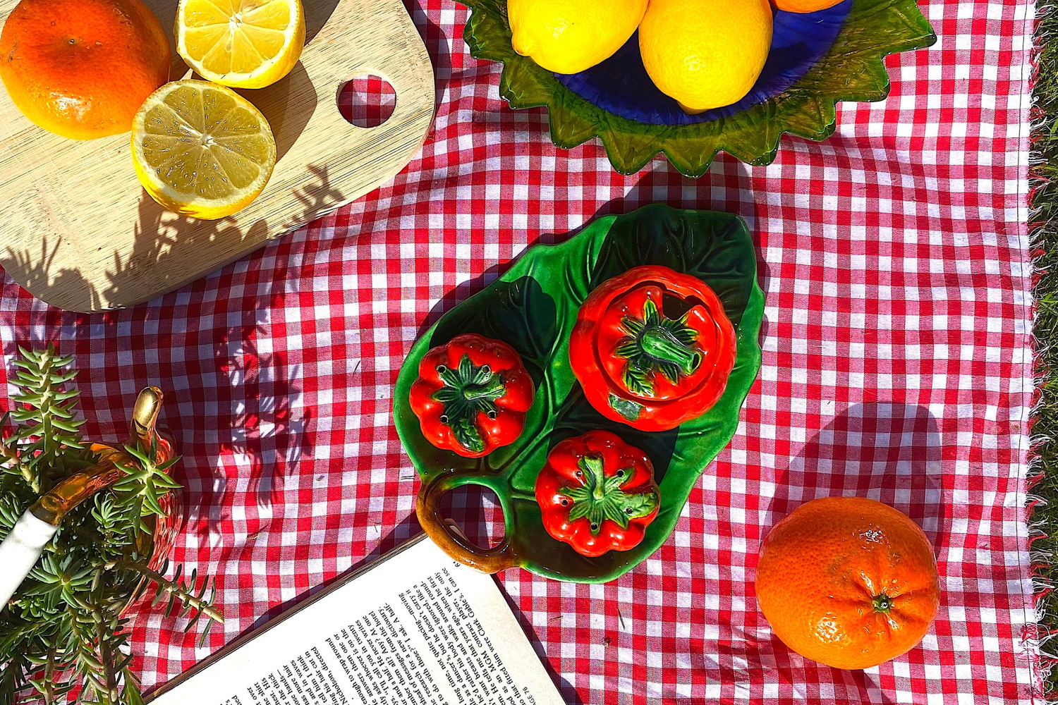 tomato shaped salt and pepper shakers viewed from above on a gingham picnic cloth