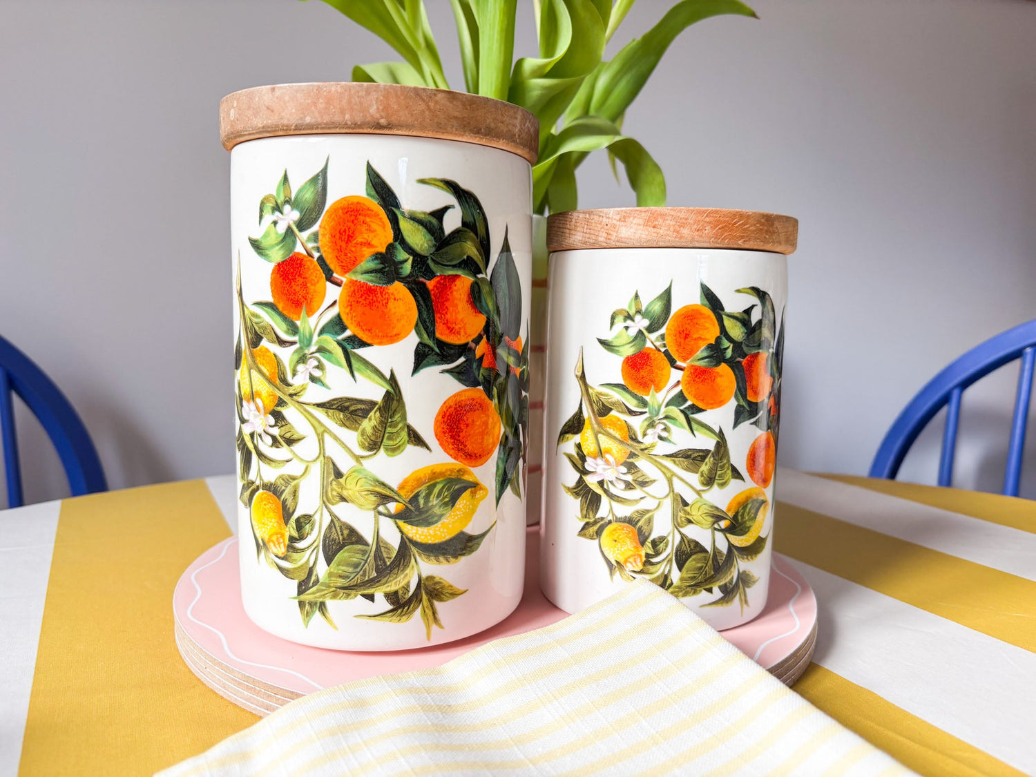 Sunshine Subscriber Early Access