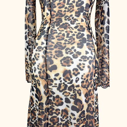 &amp; Other Stories Leopard Print Long Sleeve Mesh Maxi Dress - Size 6 &amp; Other Stories
