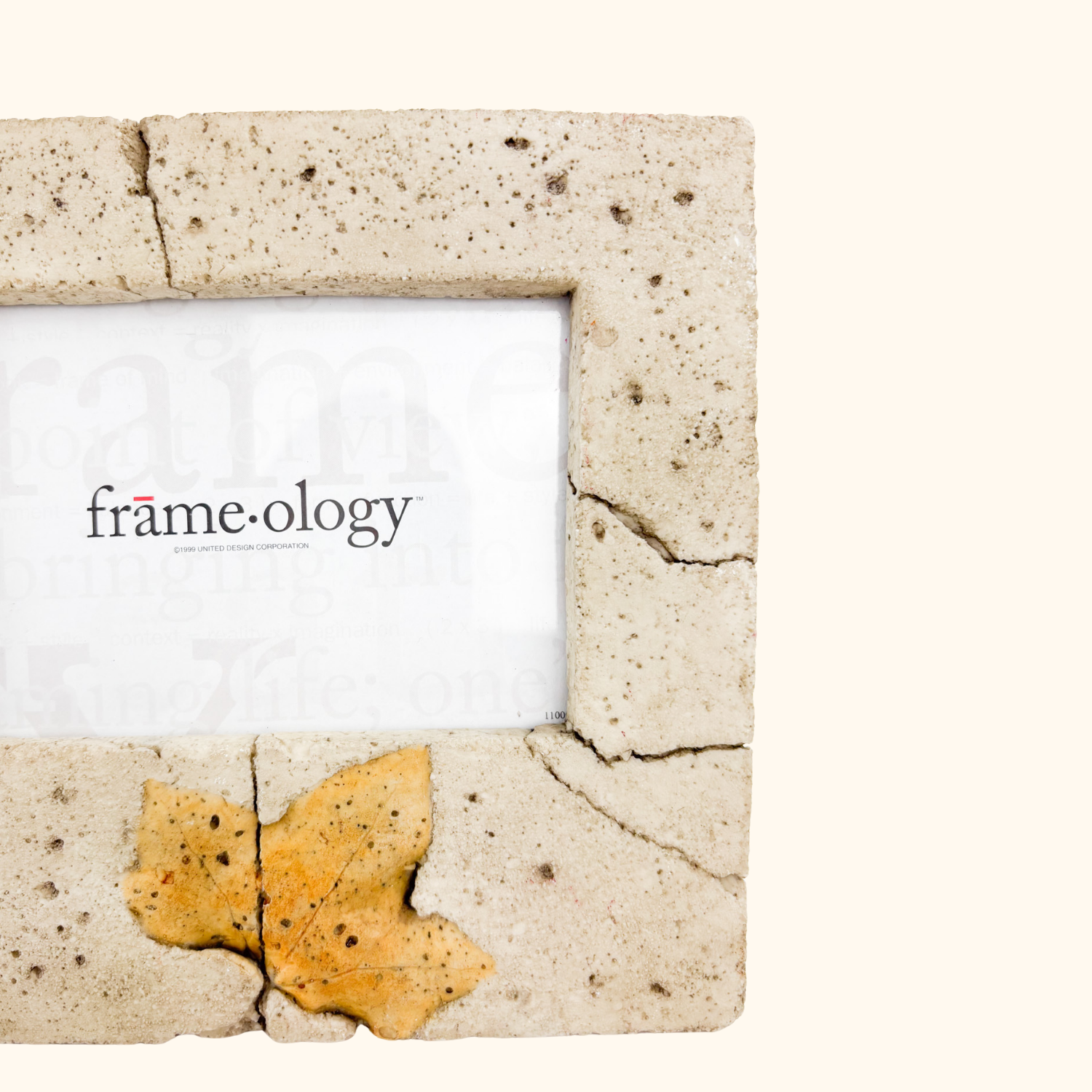 Frameology 3D Pressed Leaf Picture Frame 6inch x 4inch -  - Picture Frames