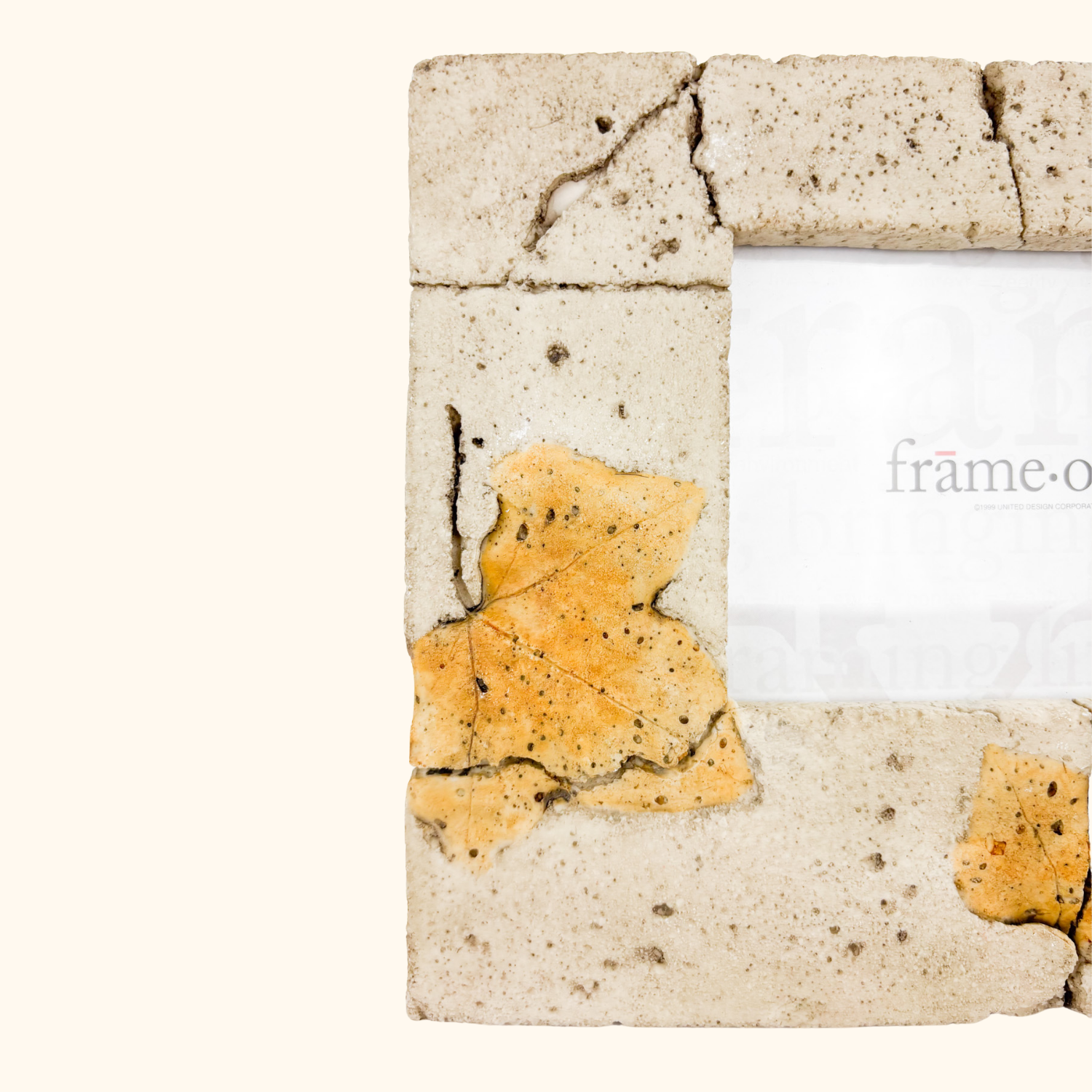 Frameology 3D Pressed Leaf Picture Frame 6inch x 4inch -  - Picture Frames