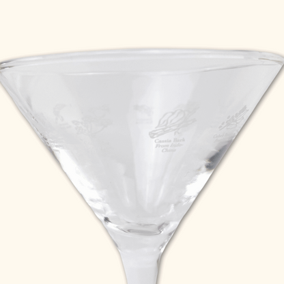 Bombay Sapphire Gin Martini Glasses - Set of 2 -  - Glassware