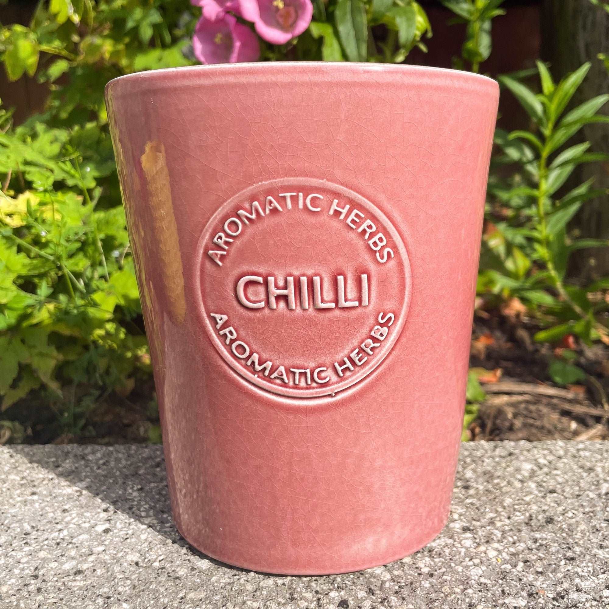 Chilli Pink Medium Flower Pot - Sunshine Thrift - Plant pots