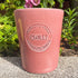 Chilli Pink Medium Flower Pot - Sunshine Thrift - Plant pots