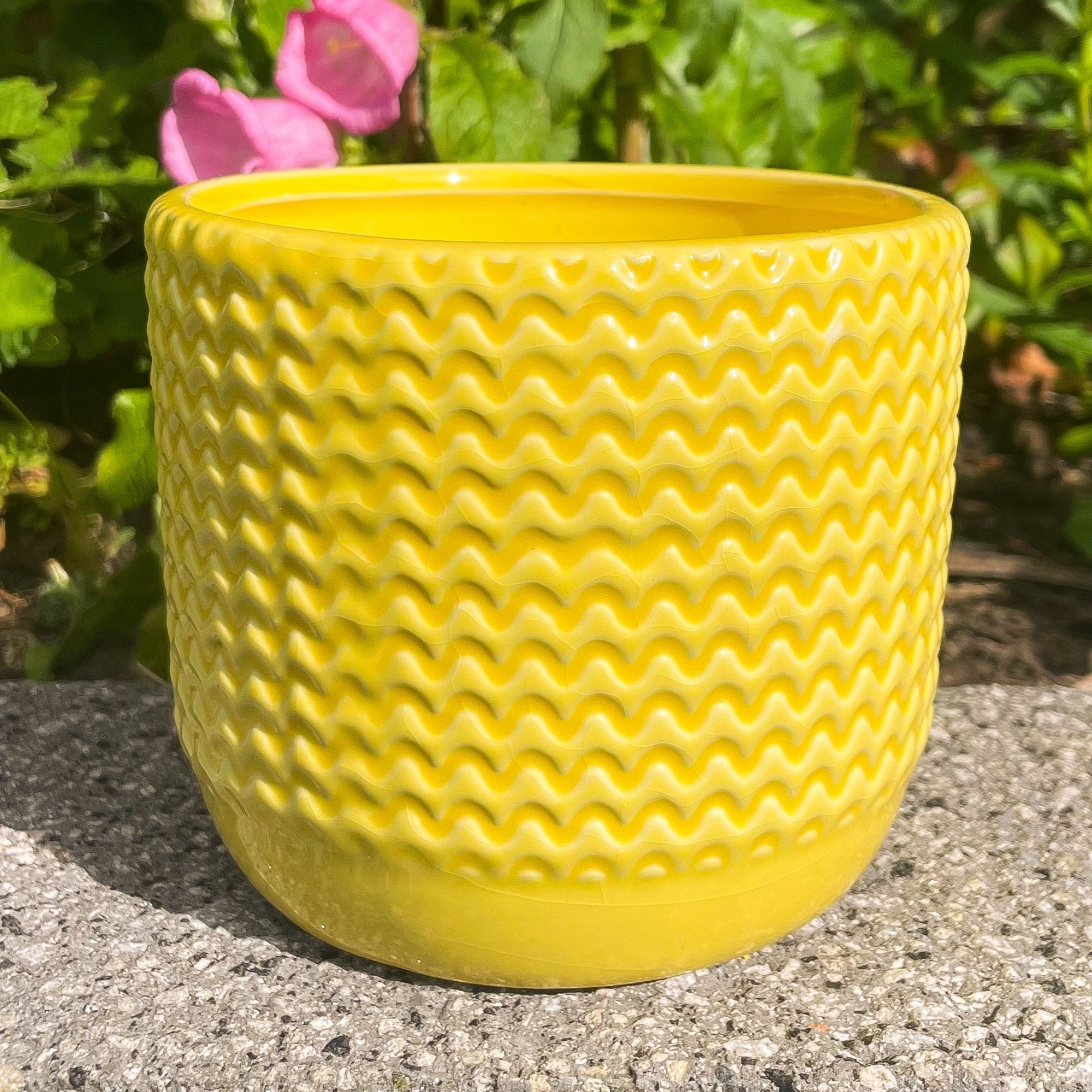 Yellow Zig Zag Small Plant Pot - Sunshine Thrift - Plant pots