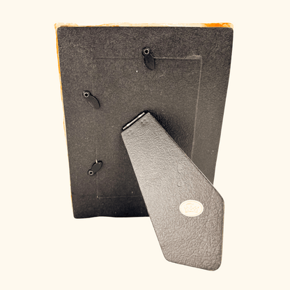 Seaside 3D Shell Picture Frame 6inch x 4inch Sunshine Thrift