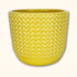 Yellow Zig Zag Small Plant Pot -  - Plant Pots