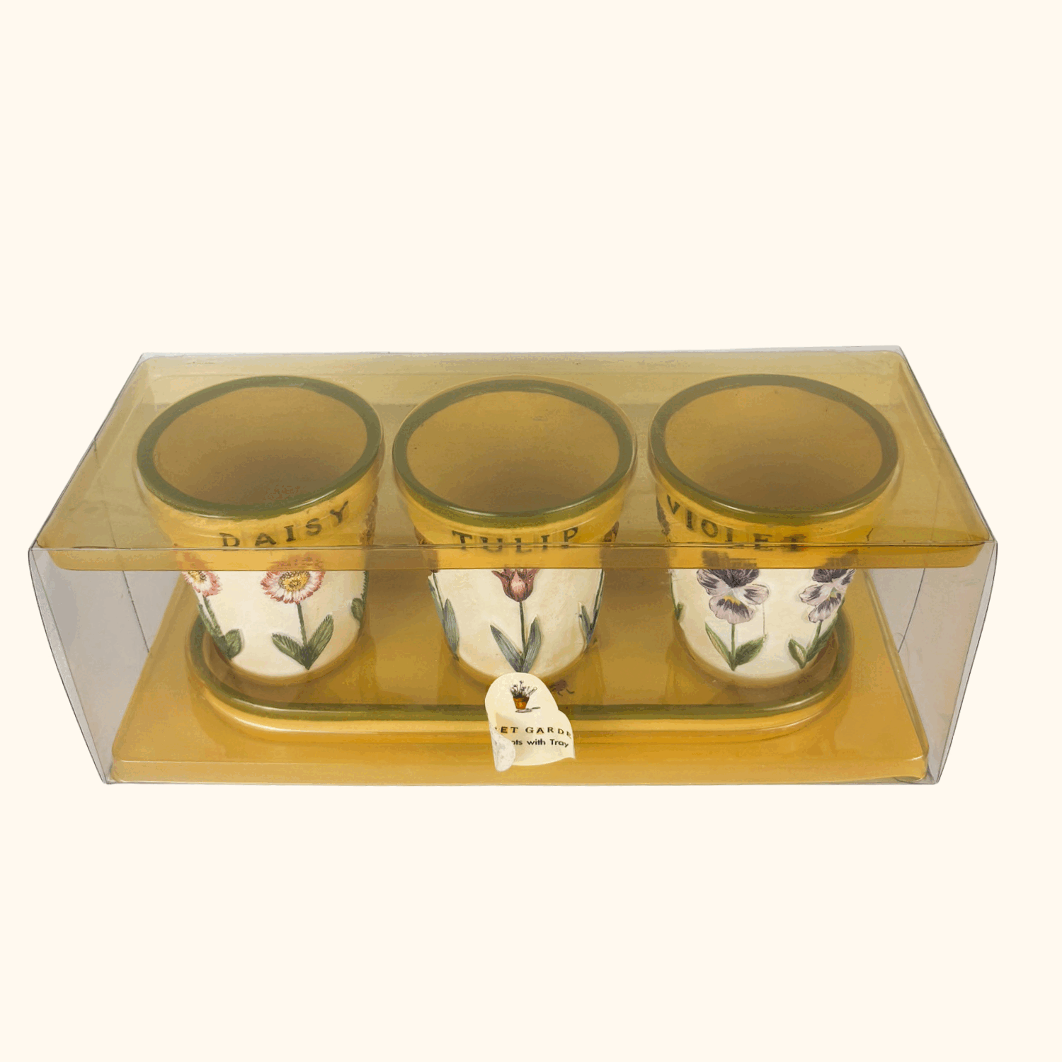 Mini Ceramic Plant Pots With Tray Boxed Sunshine Thrift