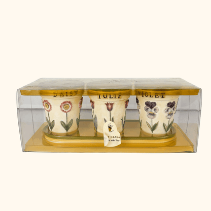 Mini Ceramic Plant Pots With Tray Boxed Sunshine Thrift