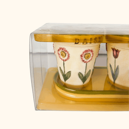 Mini Ceramic Plant Pots With Tray Boxed Sunshine Thrift