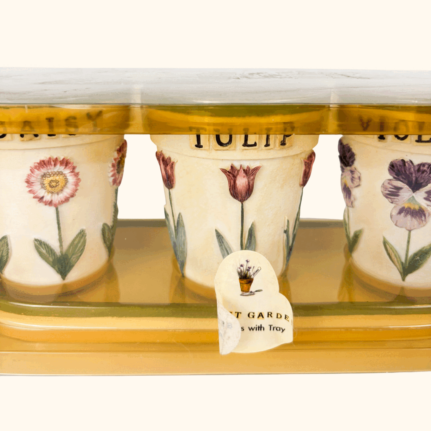 Mini Ceramic Plant Pots With Tray Boxed Sunshine Thrift