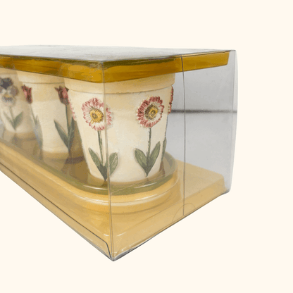 Mini Ceramic Plant Pots With Tray Boxed Sunshine Thrift