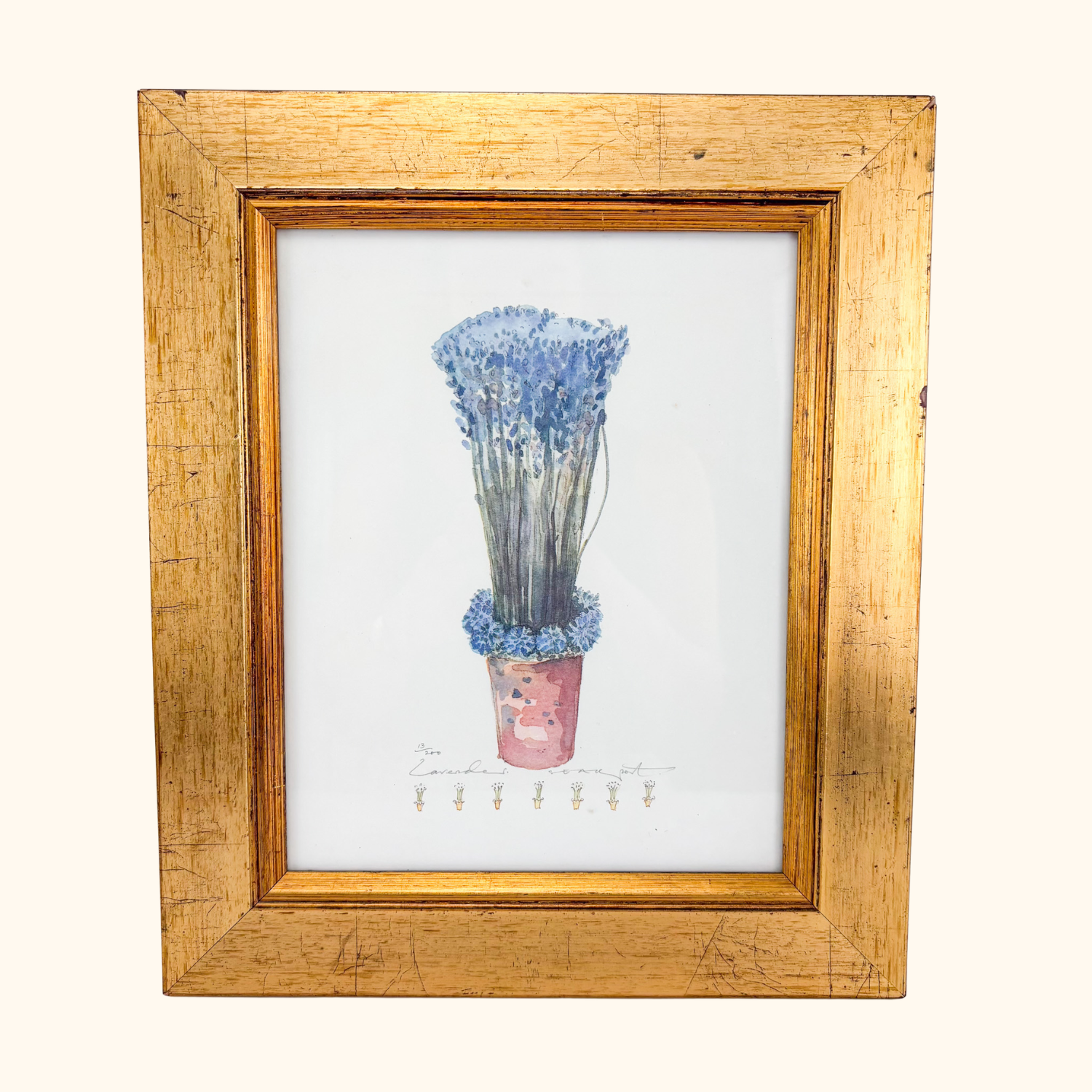 Potted Lavender Framed Watercolour Print Sunshine Thrift