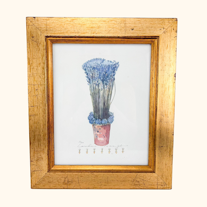 Potted Lavender Framed Watercolour Print Sunshine Thrift