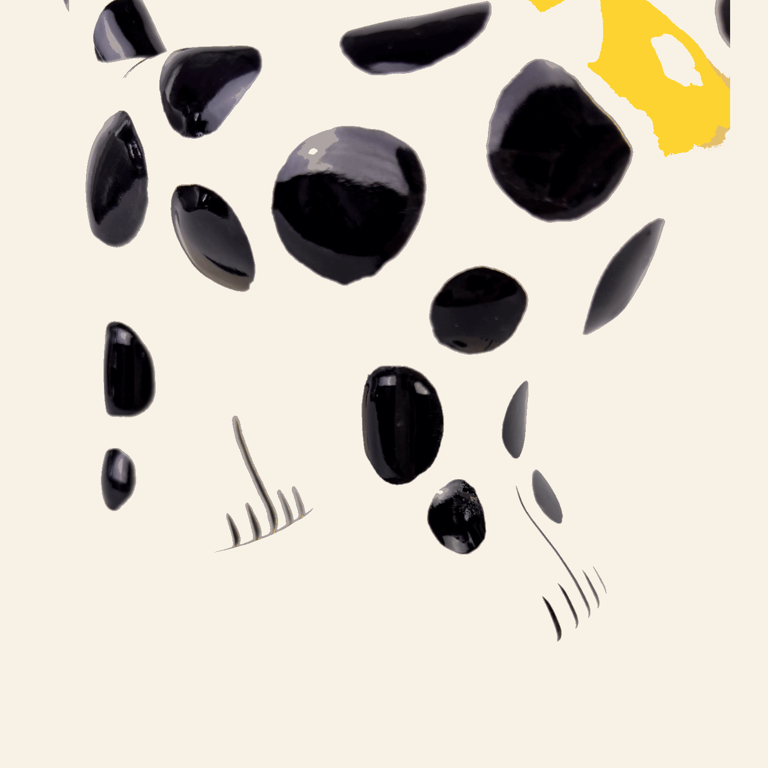 Whittard Dalmation Novelty Ceramic Egg Cup Whittard