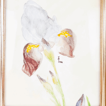 Vintage 1996 Framed Iris Watercolour Painting Sunshine Thrift