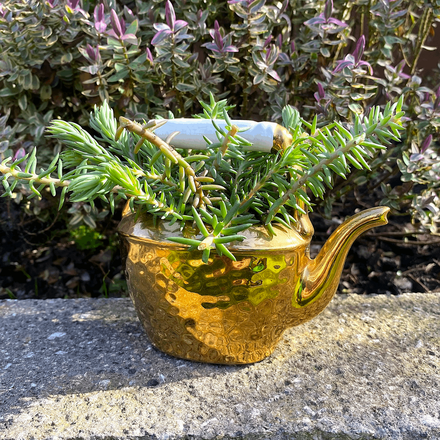 Brass Effect Ornamental Kettle - Sunshine Thrift - Ornaments