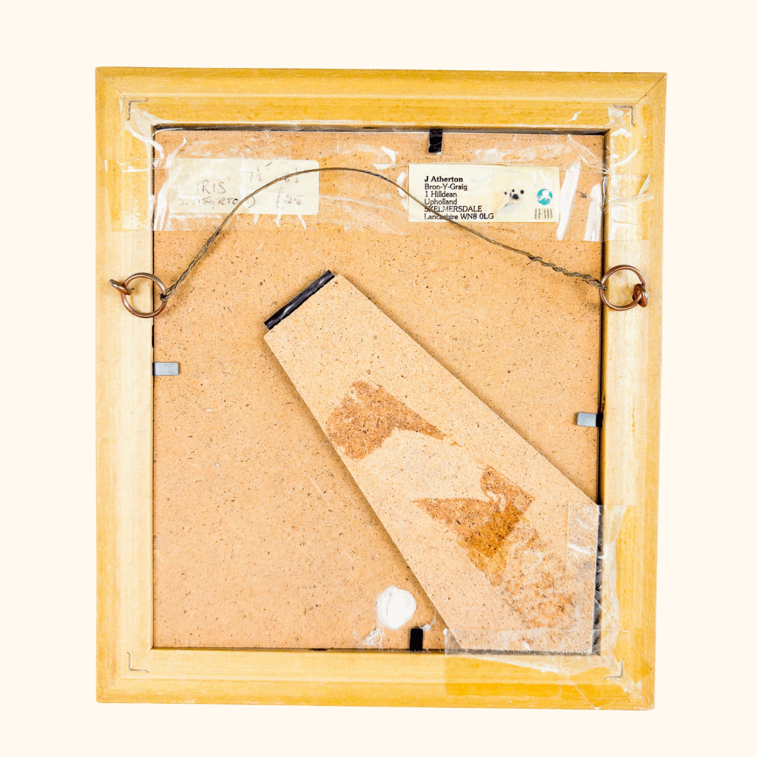 Vintage 1996 Framed Iris Watercolour Painting Sunshine Thrift