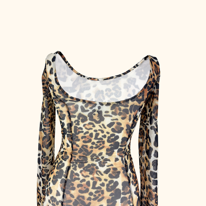 &amp; Other Stories Leopard Print Long Sleeve Mesh Maxi Dress - Size 6