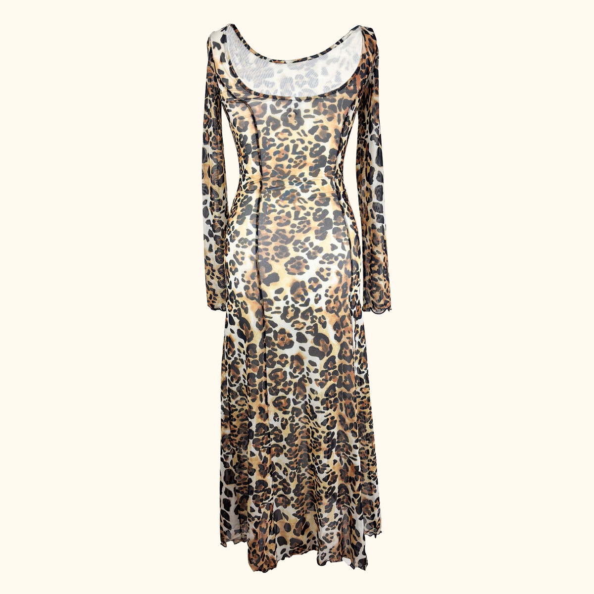 &amp; Other Stories Leopard Print Long Sleeve Mesh Maxi Dress - Size 6