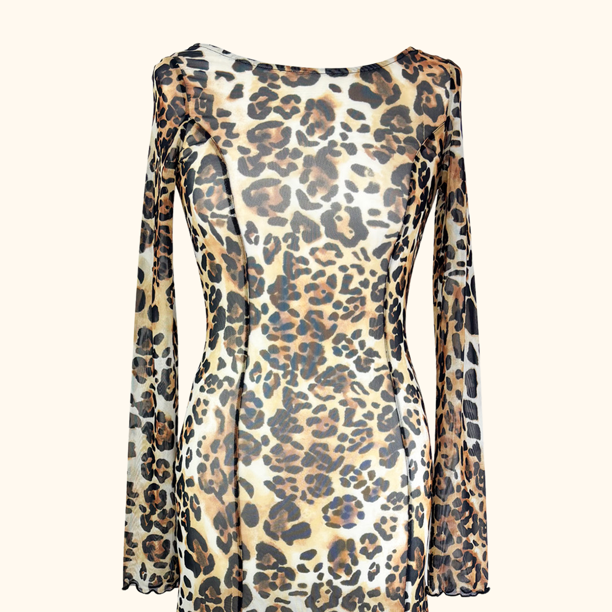 &amp; Other Stories Leopard Print Long Sleeve Mesh Maxi Dress - Size 6