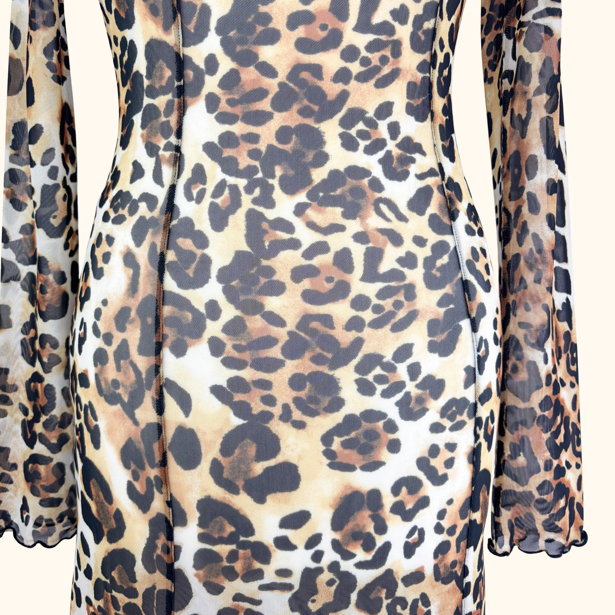 &amp; Other Stories Leopard Print Long Sleeve Mesh Maxi Dress - Size 6