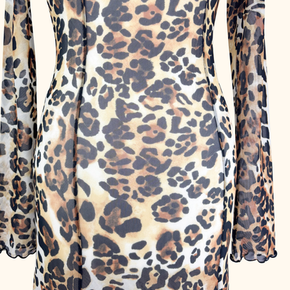 &amp; Other Stories Leopard Print Long Sleeve Mesh Maxi Dress - Size 6