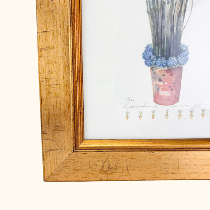 Potted Lavender Framed Watercolour Print Sunshine Thrift