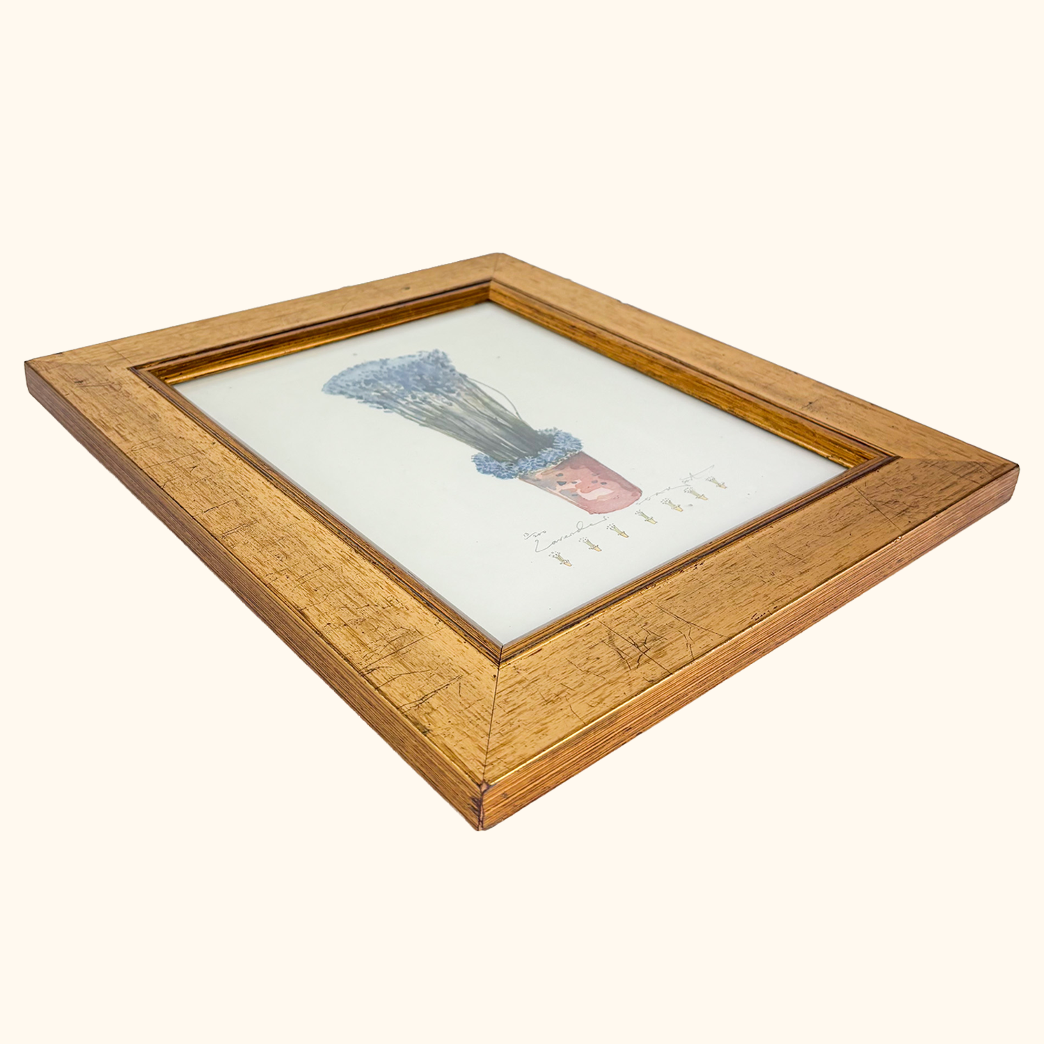 Potted Lavender Framed Watercolour Print Sunshine Thrift