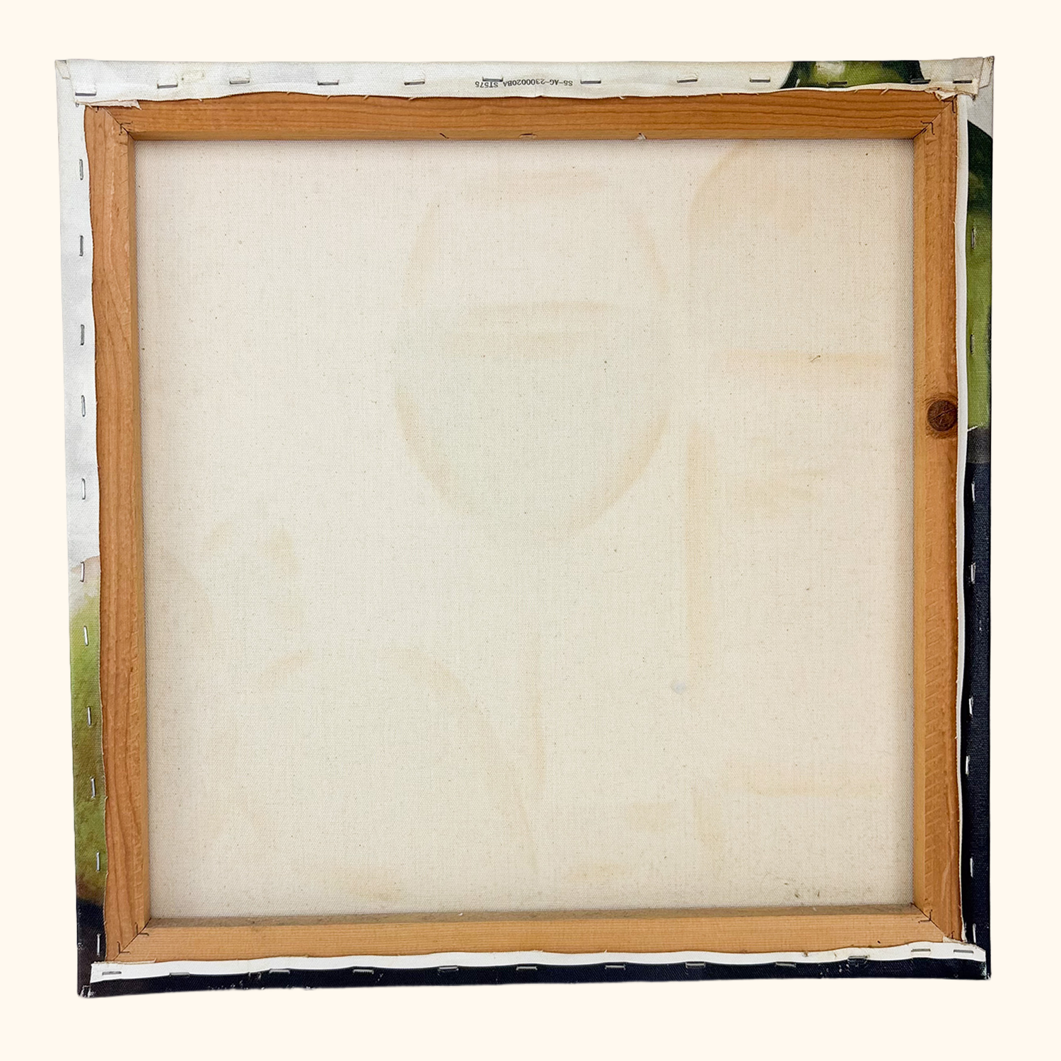 Fabrice de Villeneuve French Wine Canvas Art Fabrice de Villeneuve