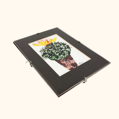 Framed Cactus Watercolour Paintings Vintage 1995