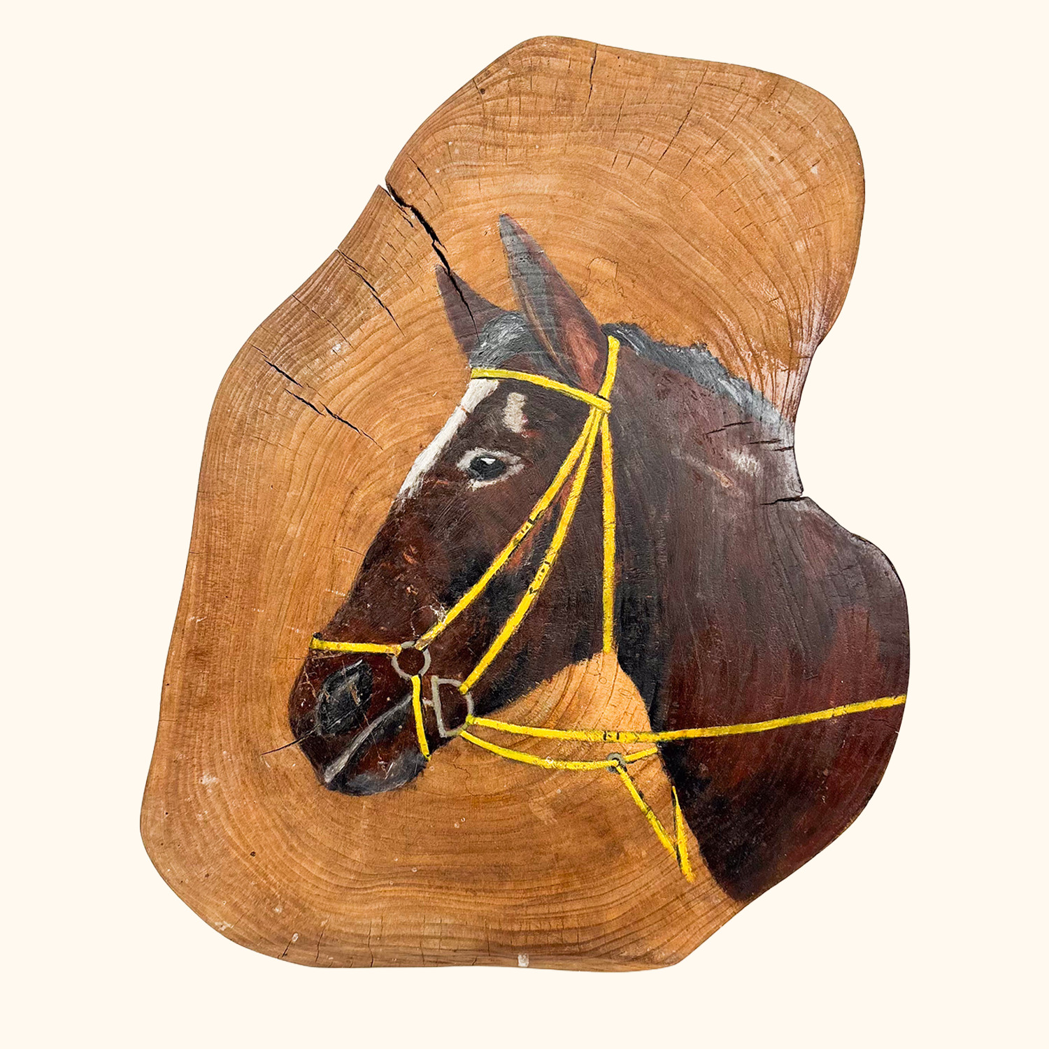 Hand Painted Horse Wall Art Wood Slice