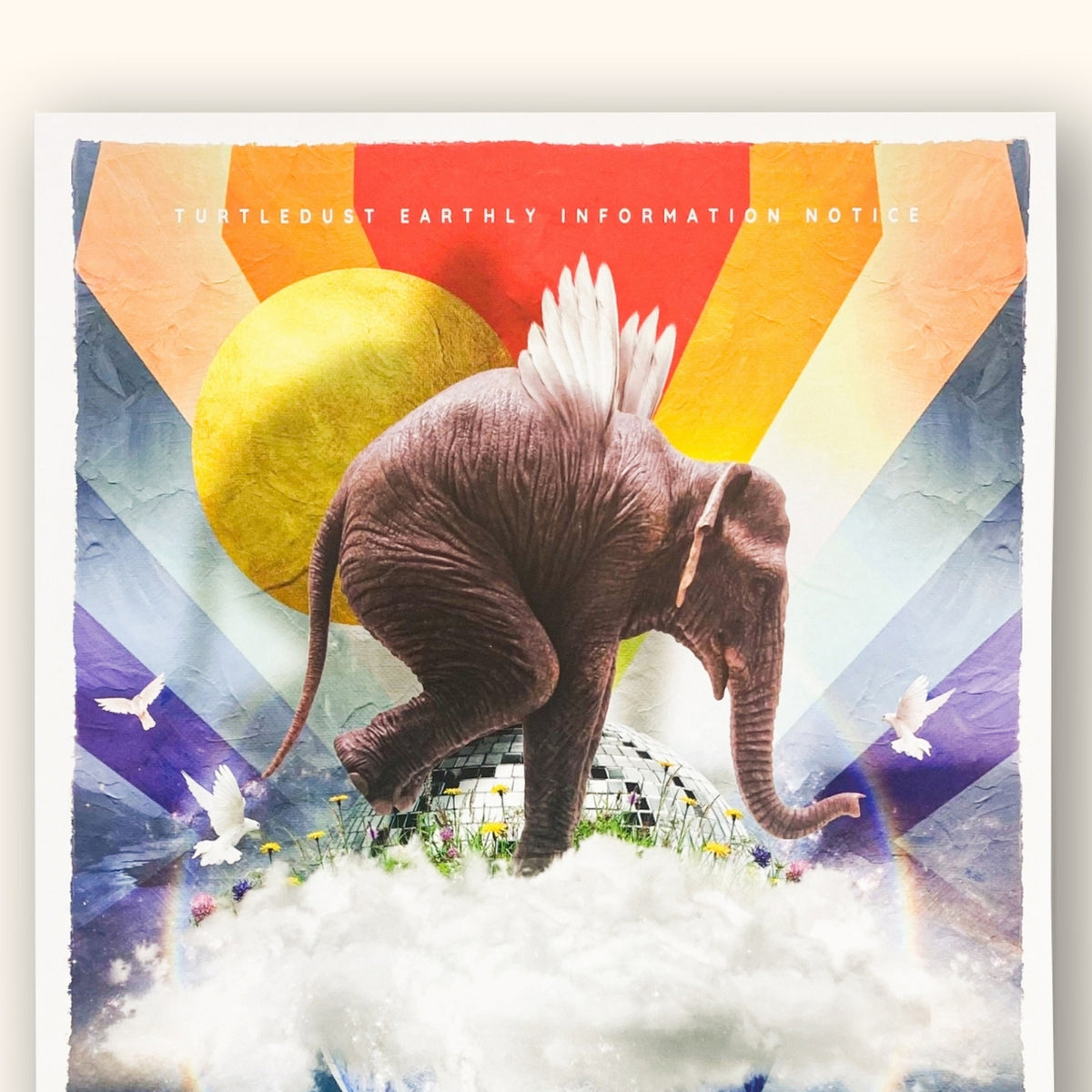 Turtle Dust Turtledust Elephant Wall Art Print Unframed 30cm x 42cm β Sunshine Thrift